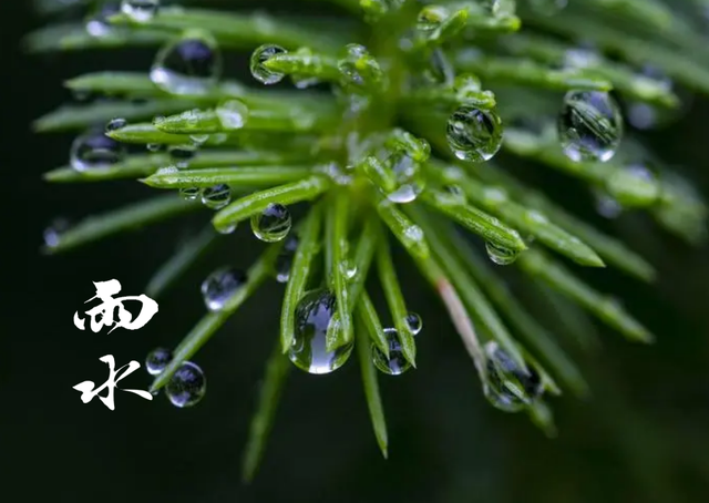 好雨知时节，好雨知时节,当春乃发生.随风潜入夜,润物细无声的意思（十首春雨的诗词）