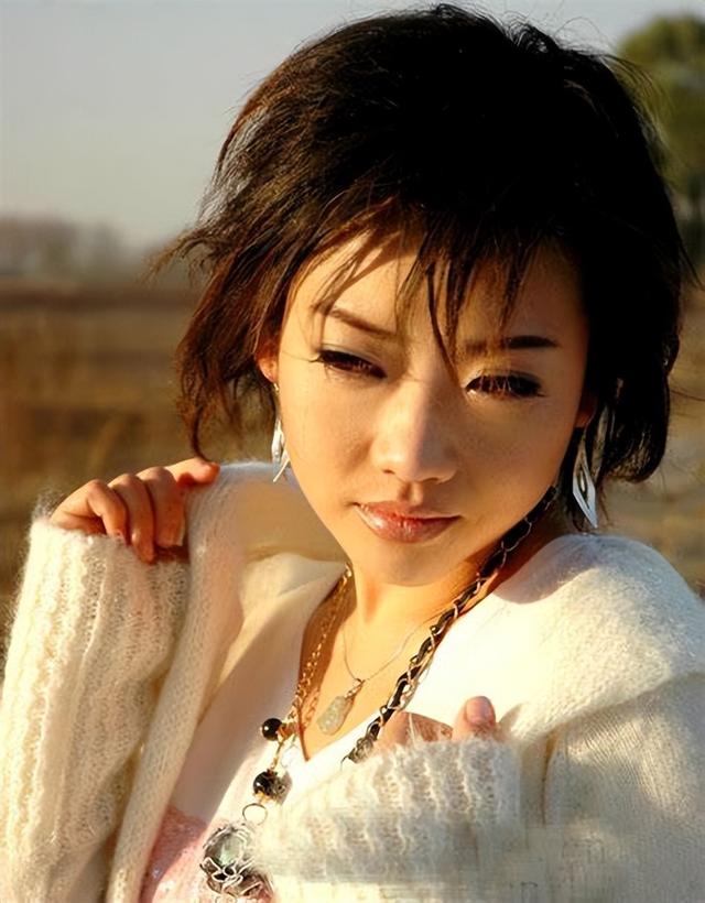 乌龙闯情关主题曲，抖音最火100首歌曲（歌红人不红的9位歌手）