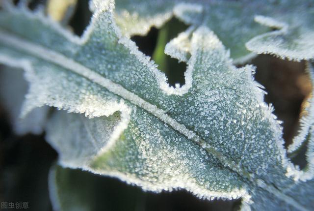 升华的近义词，升华的近义词和反义词（这些你都弄懂了吗）