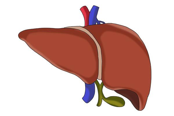 尿液透明像自来水，尿液透明像自来水是肾虚吗（或是肝有问题）