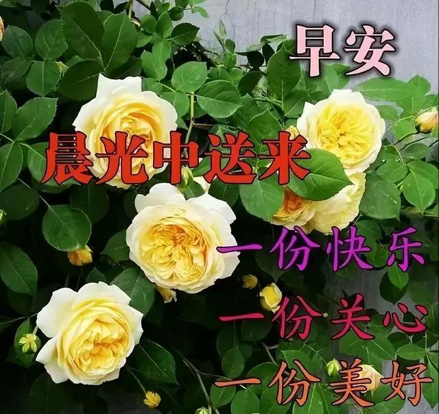 那句愿你安好和祝你幸福都是真的，心痛也是真的。，愿你幸福安好的句子（2022最新早上好祝福图片温馨带字）