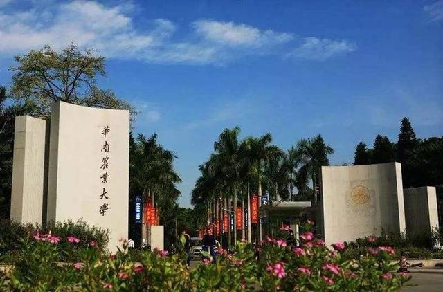 华南农业大学排名，华中农业大学全国高校排名（华南地区高校2023年排名）