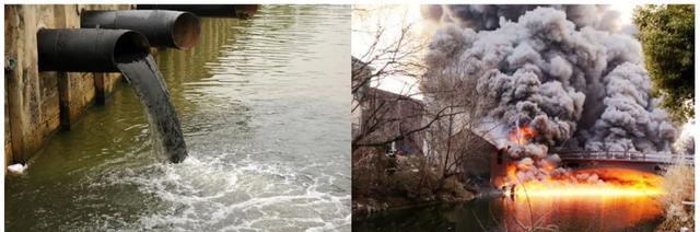 蜜蜂从地球上消失了会怎样，如果蜜蜂从地球上消失,人类将只能再存活四年（没有想法时，怎样突破重围的）