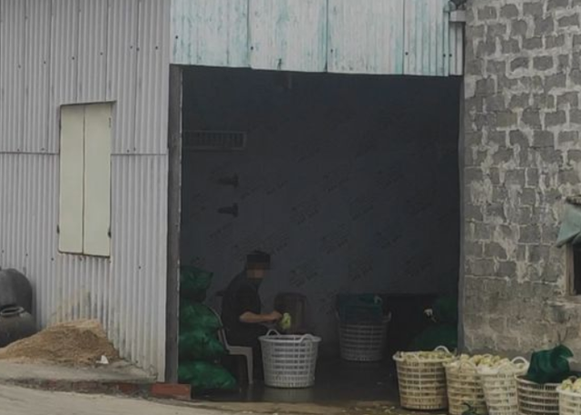 黄金大米的危害，劣质大米的危害（“黄金鲍”加硼砂可使器官衰竭）