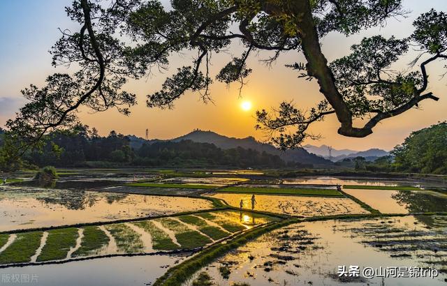 适合老人去的旅游胜地，适合老人去旅游的胜地有哪些（这些地方必须给长辈们安排上）