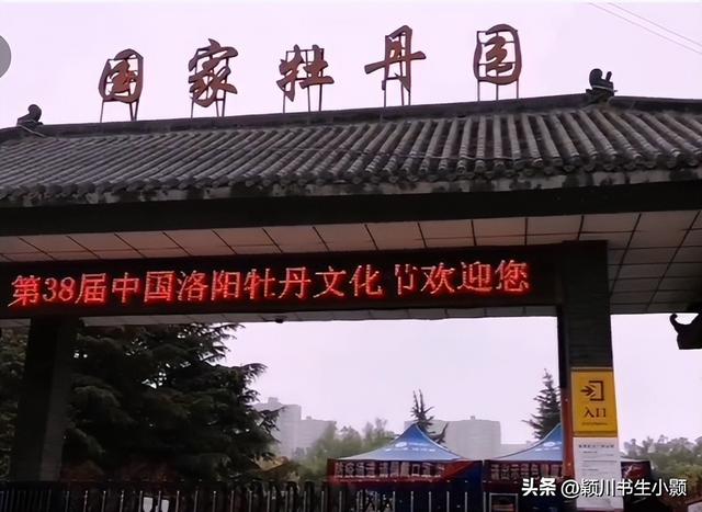 洛阳最值得一看的牡丹园，史上最全的洛阳牡丹观赏园