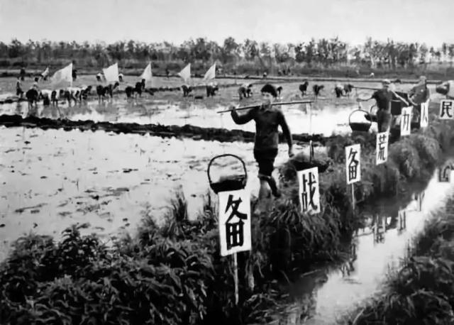 人民币上的人物，第四套人民币人物的排序是什么样的（1962年出版的1元钱上）