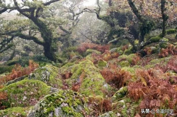 农历七月十四是什么节日，农历7月14什么节日（你知道是什么日子吗）