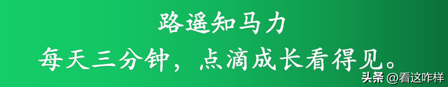 个人计算机属于什么类型，个人计算机属于什么（计算机操作系统分类）