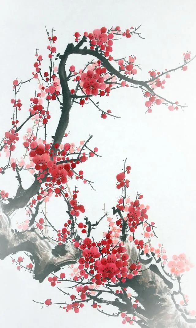 喜鹊图片大全大图，喜鹊的种类及分布图（喜鹊吉祥图片，精美手机壁纸）