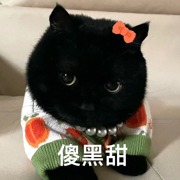 萌宠表情包，微信头像，萌宠表情包（萌宠表情包：我的爱是垃圾吗）