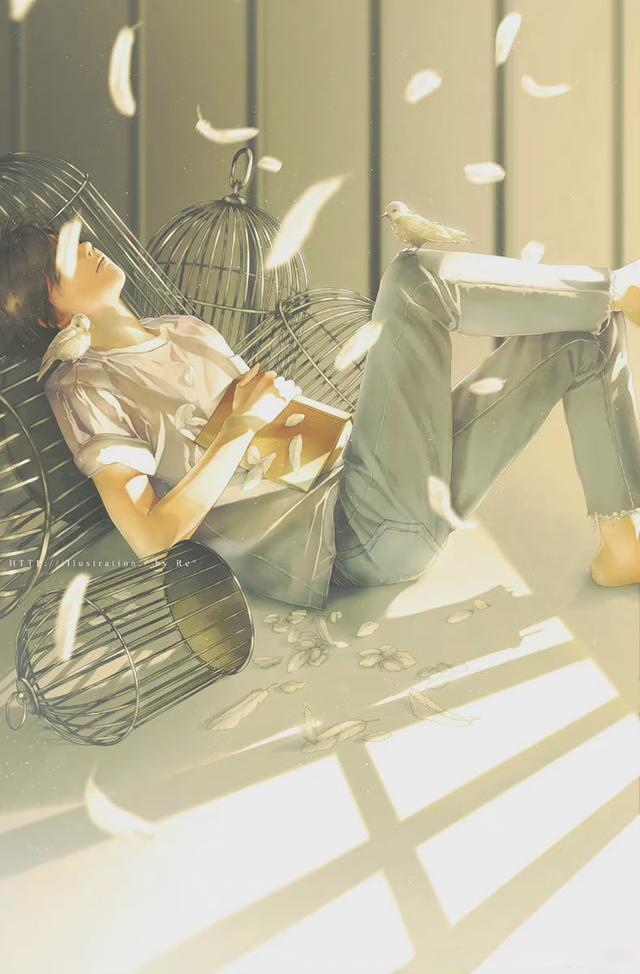 光影美，光影美学概念（淡淡的色彩表达颇具美感图片）