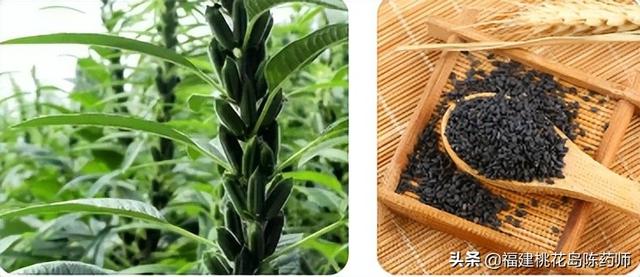 雪蛤的功效，雪蛤的功效与做法大全（20味补阴中药的药性及功效）