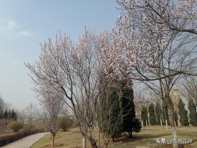 职场写作：提案的写作技巧