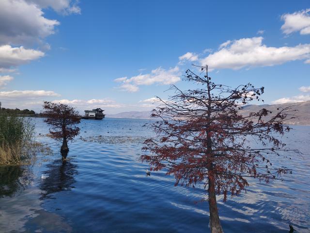 大理必去4个景点，去大理旅游攻略和费用是多少（这些景点一定不要错过）
