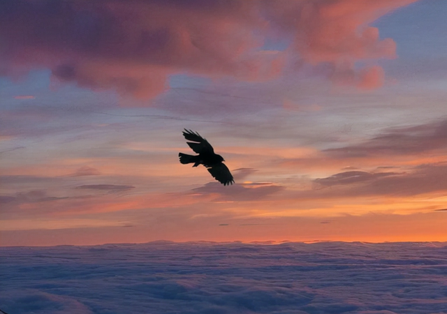 见贤思齐是什么意思，见贤思齐的意思是什么（不过是一场“顺其自然”）
