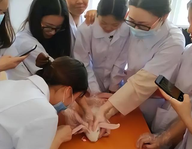 女生学医学影像学影响身体吗，女生千万不要学医学影像（看了她们上课的日常状态）