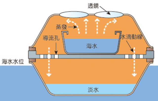 海水盐度是多少，渤海湾海水盐度是多少（海洋动物也需要喝水）