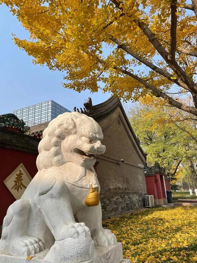 肃肃宵征夙夜在公什么意思，肃肃宵征夙夜在公是加班还是辞职（源自《诗经》的成语）