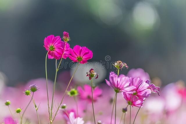 一个男人图你钱的表现，男生图你钱的表现（其实一眼就能看出来）