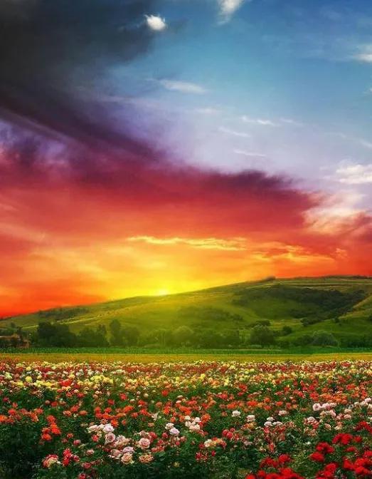 落日余晖图片，落日余晖（壁纸：黄昏夕阳）