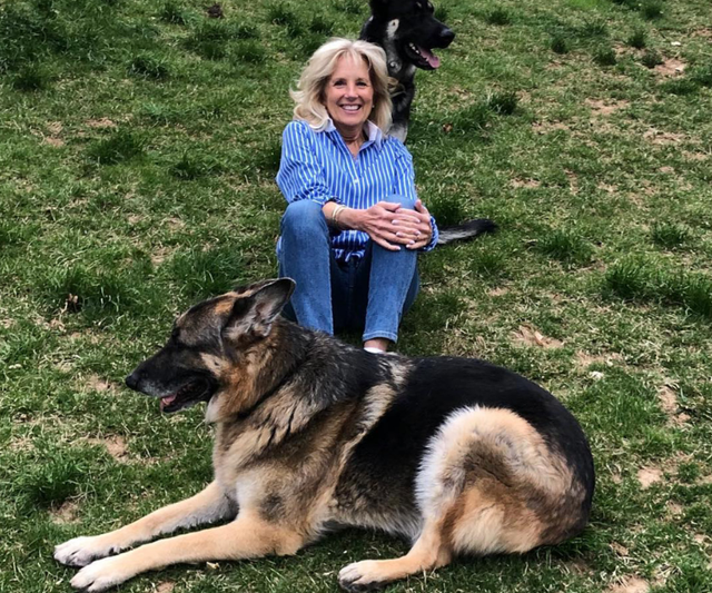 养狗技术，养狗的5个好处（养狗的方法与技术视频）