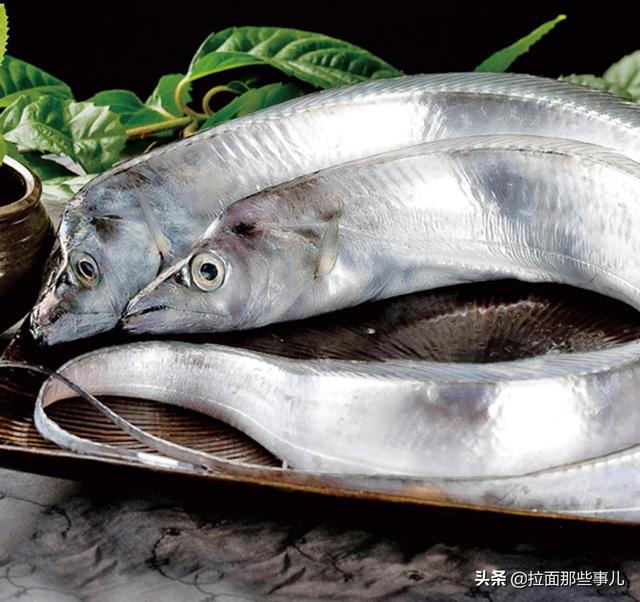 沙丁鱼怎么做好吃，沙丁鱼做法（少吃面食和猪肉）