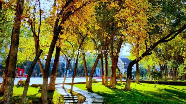 新疆财经大学怎么样，新疆财经大学研究生分数线（不说再见！新疆财经大学）