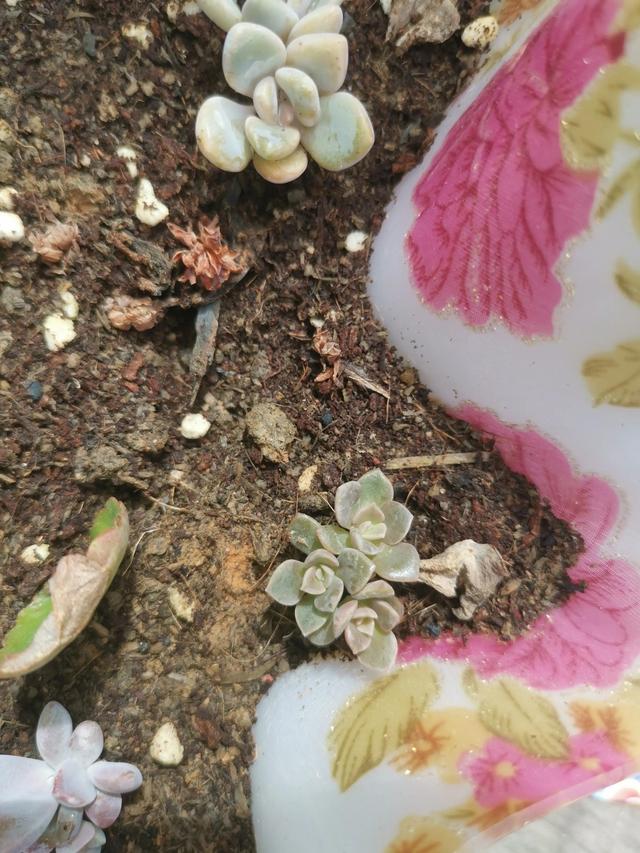 有哪些好听的网名，好看又好听的网名400个（都是些什么名字呢）