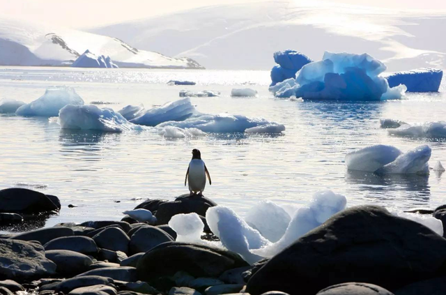 南极洲有人居住吗，南极洲有哪些国家（偌大的南极大陆为何不是任何国家的领土）