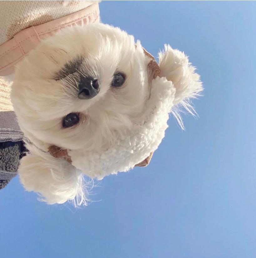 帛逸/情头/有缘。，微信头像，帛逸/情头/有缘。（甜甜情头分享）