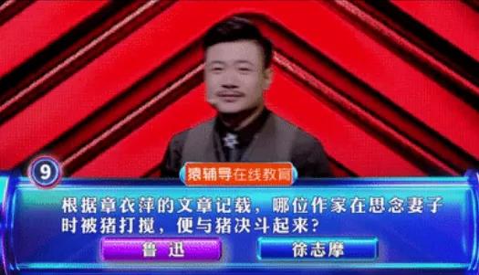 刺猹是什么梗意思，刺猹是什么梗（文学顶流也有带娃困扰）