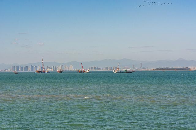 去厦门必去的几个地方，厦门必去的几个景点（这8个好玩又好拍的免费游玩圣地）