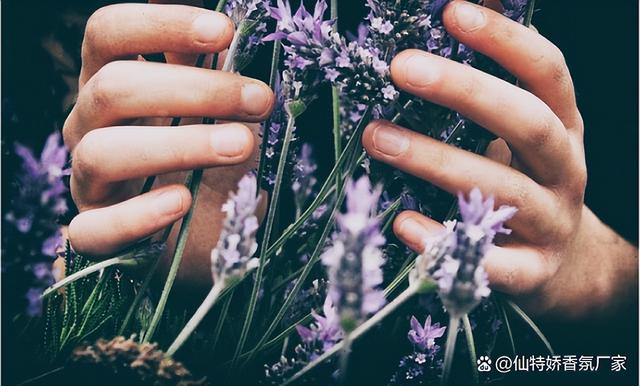 祖马龙香薰怎么用，祖马龙香薰怎么用效果好（香薰怎么用，看过就知道了）