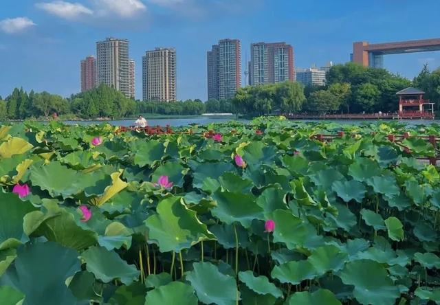 临沂好玩的地方有哪些地方（悠闲散步好去处——临沂这些地方让你感受慢下来的美好）