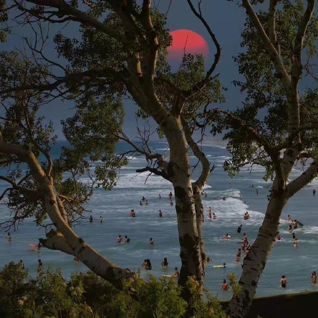 伤感背景图片，伤感背景图片动漫（伤感文案，背景图）