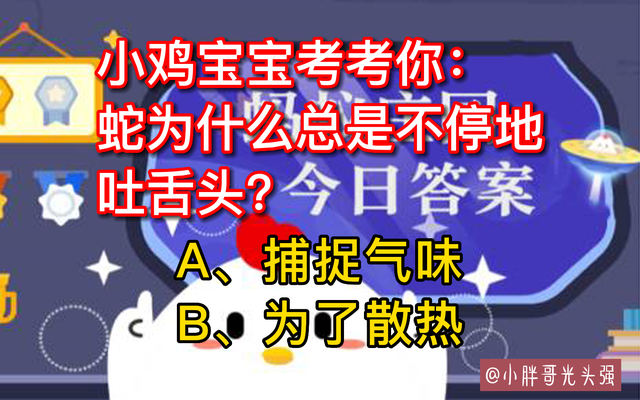 为什么蛇的舌头会分叉，蟒蛇舌头分叉吗（蛇为什么总是不停地吐舌头）