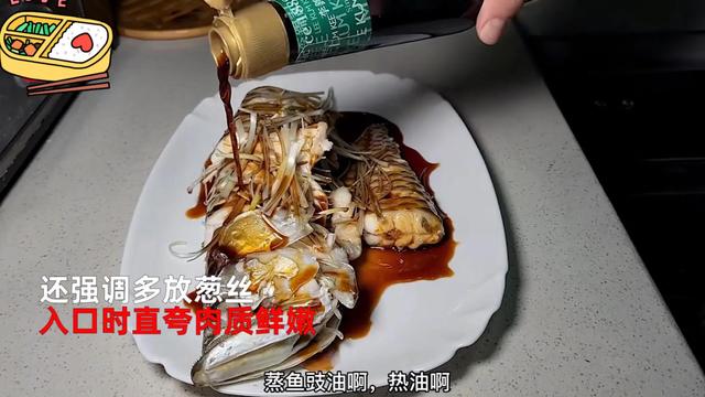 银龙鱼价格多少钱一只，龙鱼一般多少钱（可以先从饲养银龙练手）