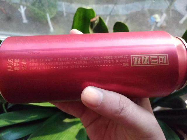 国产十大精酿啤酒品牌，中国十大啤酒排名（这6款国产精酿不含大米）