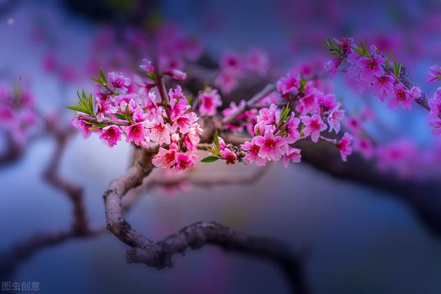 思念远方爱人的句子唯美，牵挂思念远方爱人的唯美句子（寄给远方的爱人：立春）