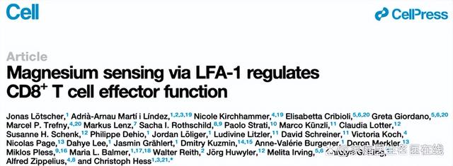 镁的作用与功效，缺镁的人抗癌能力或更差