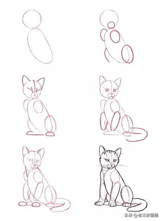 怎么画小女孩简单又漂亮，可爱的女孩怎么画（50个画猫咪的简笔画）
