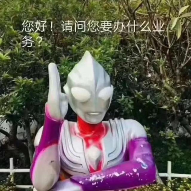 逗人开心的图片，高级文案幽默笑死人（一期看完就会开心的图片）