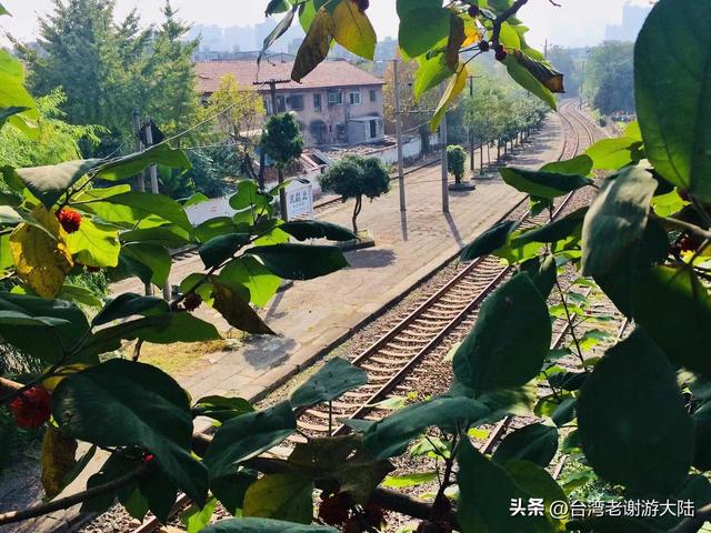 汉口属于哪个省，汉口是哪个省（汉口《知音号》带你穿越回民国）