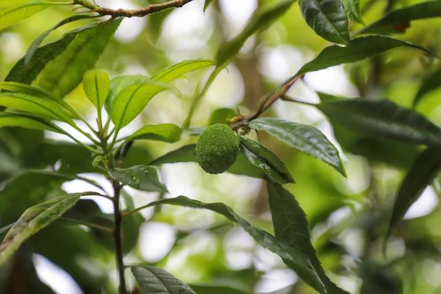 因人而异造句，用因人而异写一句话（最高级的智慧：因人而异）
