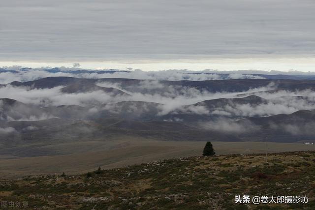 单反摄影入门教程 7个技巧，单反摄影入门教程（一篇文章教你学会用单反相机拍照）