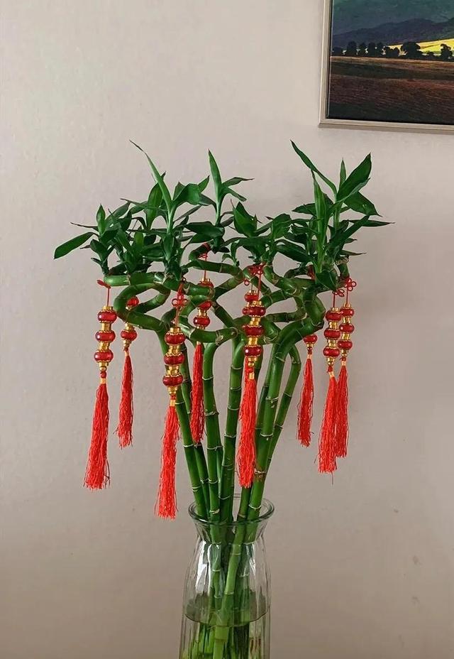 各种花的象征意义，各种花卉及寓意（开花都是好兆头）