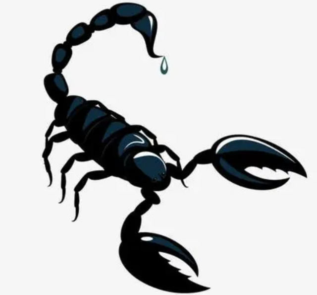 麝香的营养价值，麝香具有什么功效（价值贵重的5种生物体液盘点）