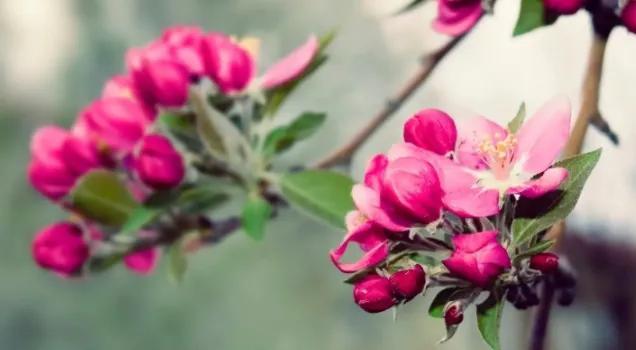 安慰别人一切都会好起来的句子，安慰别人一切都会好起来的句子一篇作文（自己安慰自己的治愈文案）