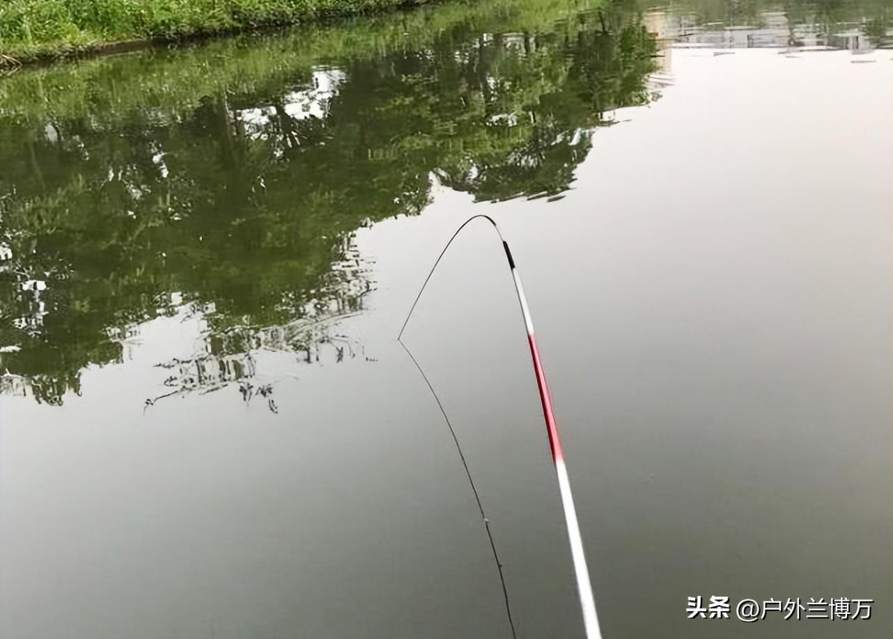 并继竿的优缺点，请教 并继竿的优点（对并继竿要求过高）